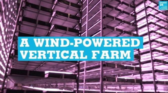 Sustainable Foods: Inside A ‘Wind-Powered Vertical Farm’ In Denmark (Video)