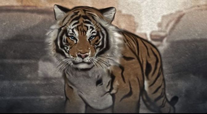 Top Creative Short Films: “Past & Present” (Video)