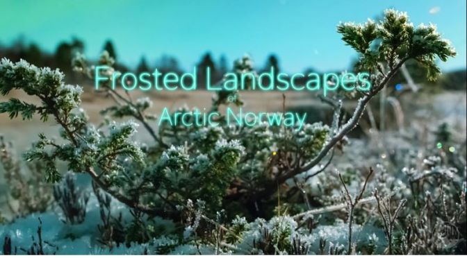 Winter Travel: Frosted Landscape, Arctic Norway