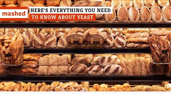Fermentation: What To Know About ‘Yeast’ (Video)