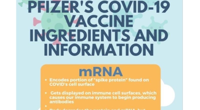 Infographic: ‘Pfizer’s Vaccine Ingredients & Treatment Information’