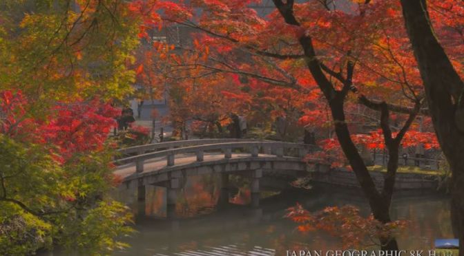 Autumn In Japan: ‘Eikando Temple, Kyoto’ (Video)