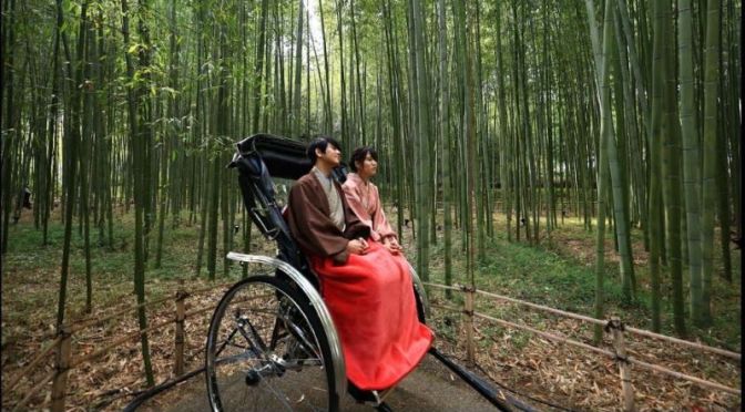 Autumn Walking Tours: ‘Arashiyama Bamboo Grove’ In kyoto, Japan