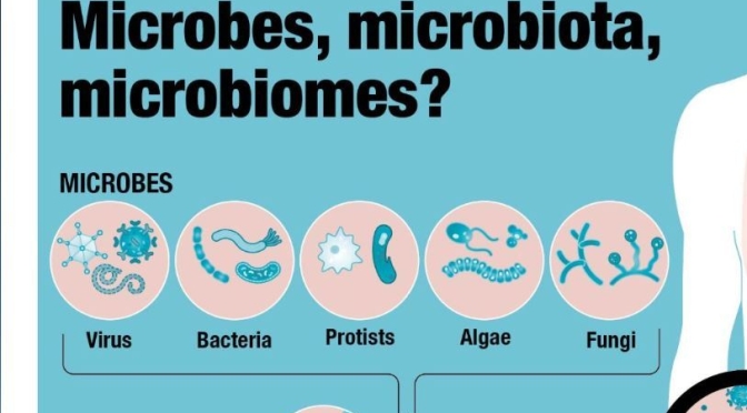 Infographic: Microbes, Microbiota & Microbiomes