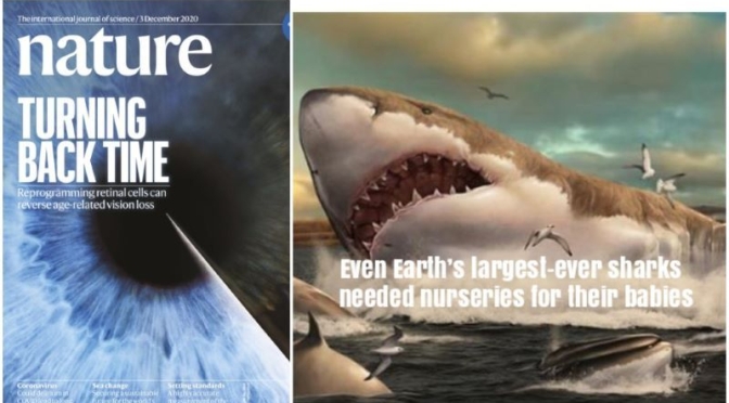 Science: Nature Magazine Research Highlights