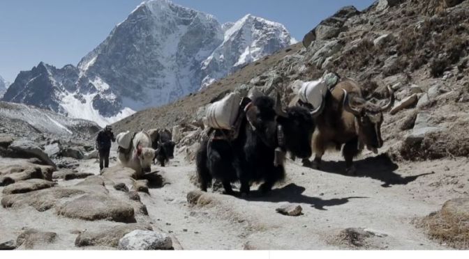 Travel & Culture: ‘Nepal’