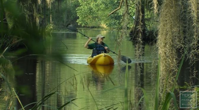 Kayaking: The ‘Paddling Trails Of Texas’ (Video)