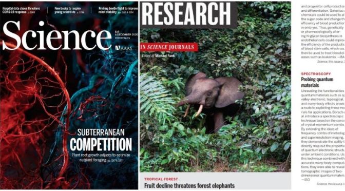 TOP JOURNALS: RESEARCH HIGHLIGHTS FROM SCIENCE MAGAZINE (DEC 4, 2020)