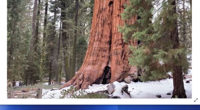 Travel: Sequoia National Park In California (Video)