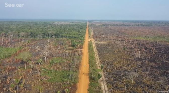 Deforestation: ‘Amazon Rainforest’ – Becoming A  Savannah In 15 Yrs? (Video)