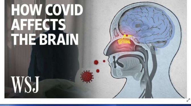 Health: ‘How Covid-19 Affects The Brain’ (Video)