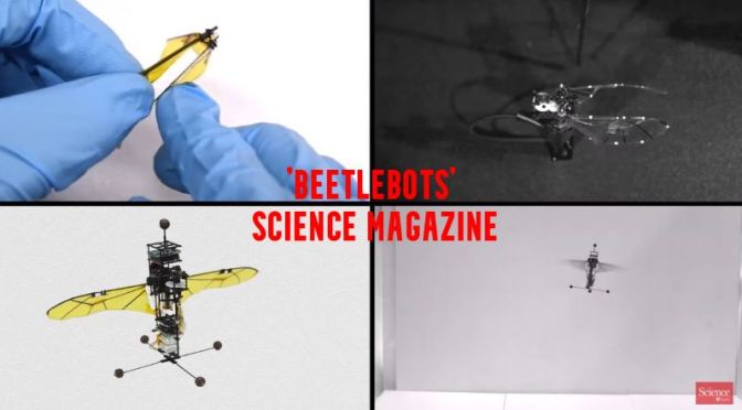 Science: Researchers Build Crash-Resistant Flying ‘Beetlebot’ (Video)
