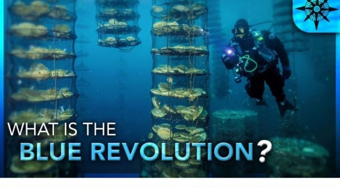 Future Of Food:  The ‘Blue Revolution’ (Video)