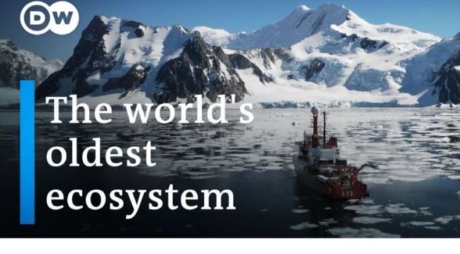 Documentary: ‘The Battle Over Antarctica’ (Video)