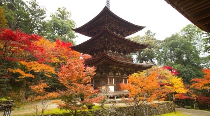 Autumn In Japan: Saimyoji Temple In Kōra (Video)
