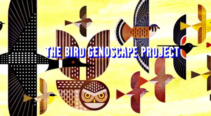 Science & Wildlife: ‘The Bird Genoscape Project’