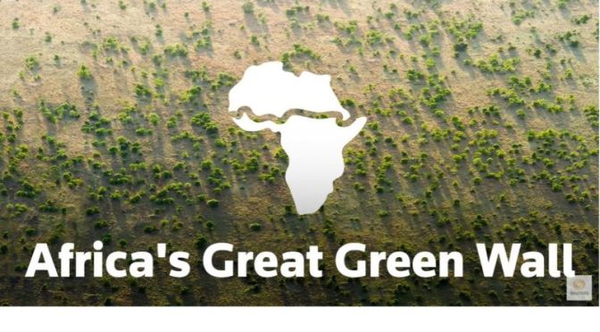 Ecology: ‘The Great Green Wall’ Of Africa (Video)