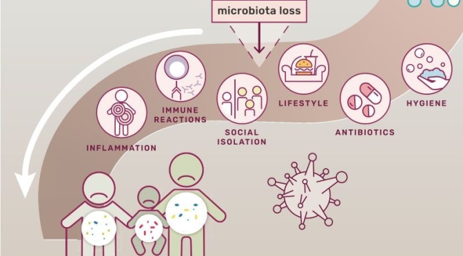 Covid-19 Analysis: The Negative Health Effects Of Microbiome Loss (PNAS)