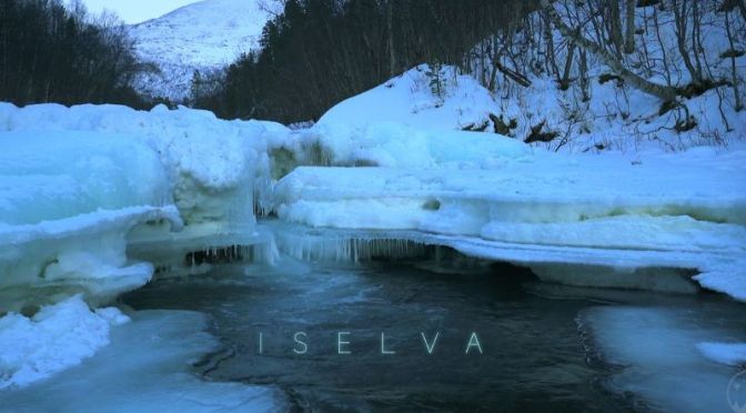 Nature In Winter: ‘Ice Sculptures’ In Målselva, Norway (4K Video)