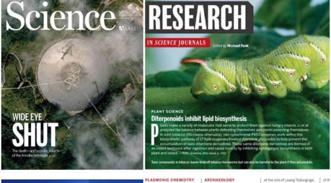 TOP JOURNALS: RESEARCH HIGHLIGHTS FROM SCIENCE MAGAZINE (JAN 15, 2021)