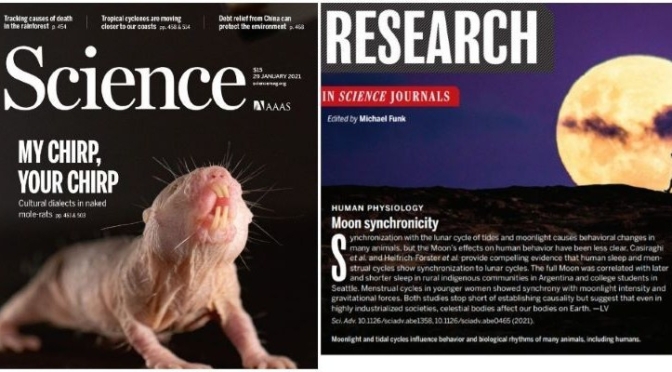 TOP JOURNALS: RESEARCH HIGHLIGHTS FROM SCIENCE MAGAZINE (JAN 29, 2021)