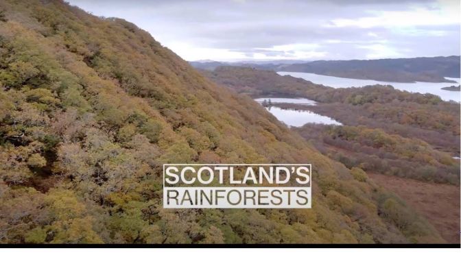 Ecosystems: ‘Scotland’s Rainforest’ (HD Video)