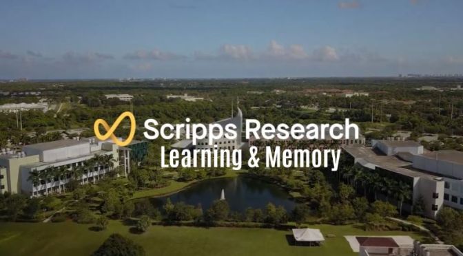 The Brain: ‘Learning & Memory’ – Neuroscience & Disease Research (Video)