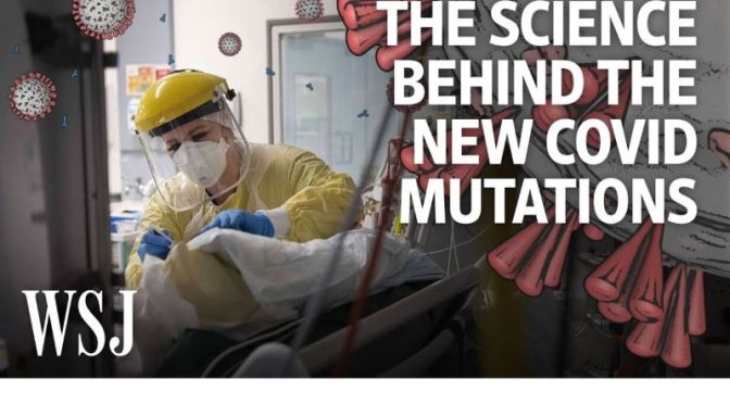 Covid-19: ‘What Is Known About The New Mutations’