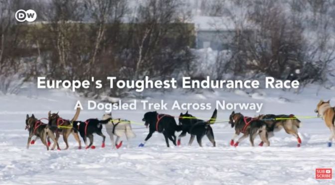 Extreme Sports: Norway’s ‘Finnmarksløpet Dogsled Race’ – Europe’s Toughest