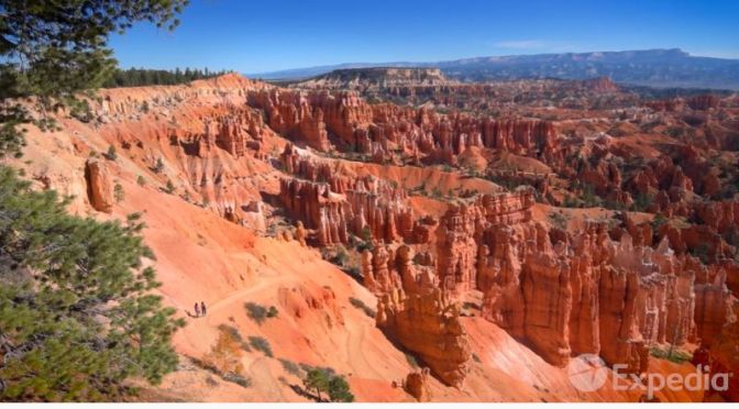 Nature: Bryce Canyon National Park In Utah
