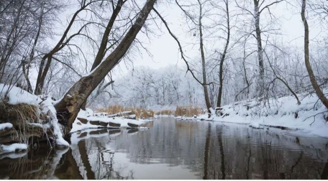 Nature: ‘Christmas Creek’ In Minnesota (Video)