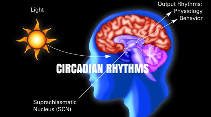 NEJM: Circadian Rhythms Importance In Medicine