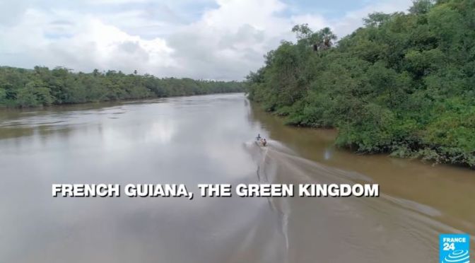 Conservation: Protecting Amazonian Rainforests In French Guiana (Video)