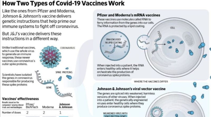 Covid-19 Infographic: ‘mRNA & Viral Vector Vaccine’ Differences