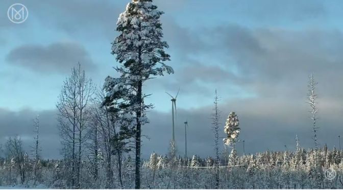 Innovation: ‘Norrbotten, Sweden’ – “Arctic Green”