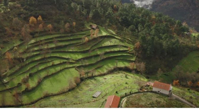 Aerial Views: ‘Northern Portugal’ (2K Video)