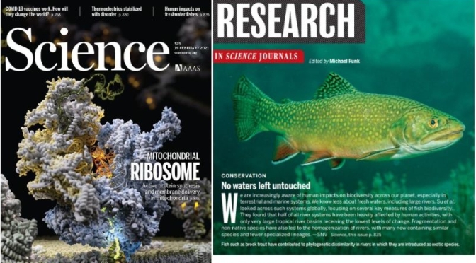 TOP JOURNALS: RESEARCH HIGHLIGHTS FROM SCIENCE MAGAZINE (FEB 19, 2021)