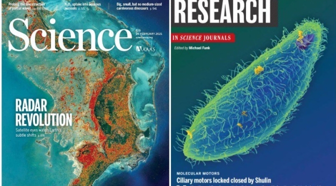 TOP JOURNALS: RESEARCH HIGHLIGHTS FROM SCIENCE MAGAZINE (FEB 26, 2021)