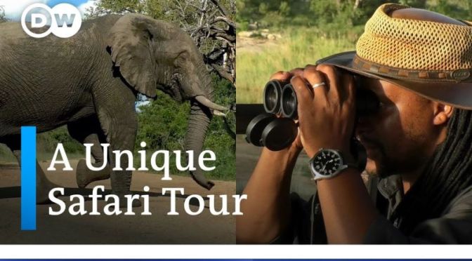 Safari Tours: ‘Kruger National Park & Game Reserve’ In South Africa