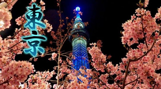Spring City Views: Cherry Blossom Season (Sakura) Begins In Tokyo (Video)