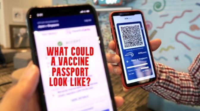 Analysis: ‘How Could A Digital Health Passport Work?’ (WSJ Video)