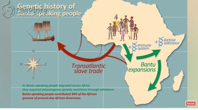 Africa Views: ‘A History Of Mozambique’ (Video)