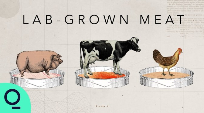 Future Of Food: ‘Lab-Grown Meat’ (Video)