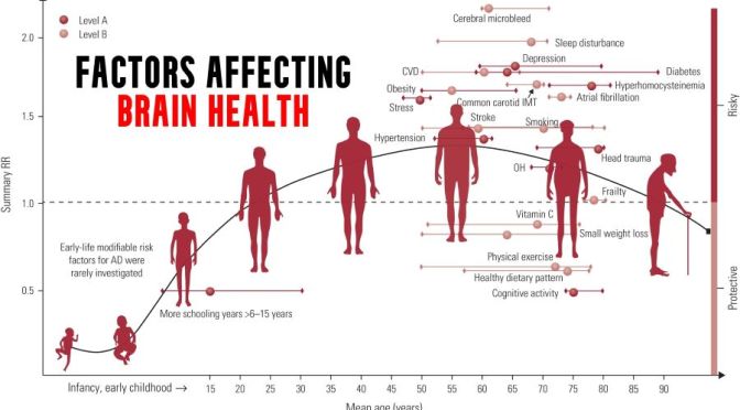 Infographic: Enhancing Brain Health Across An Individual’s Lifespan