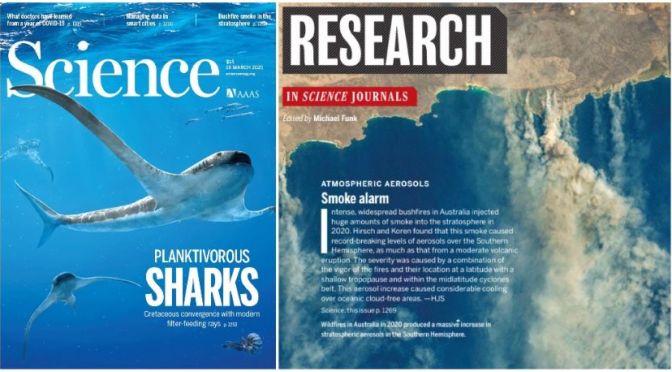 TOP JOURNALS: RESEARCH HIGHLIGHTS FROM SCIENCE MAGAZINE (MAR 19, 2021)