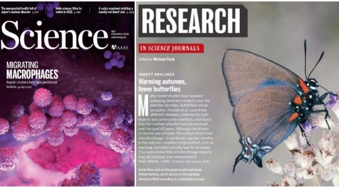 TOP JOURNALS: RESEARCH HIGHLIGHTS FROM SCIENCE MAGAZINE (Mar 5, 2021)