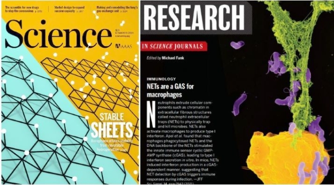 TOP JOURNALS: RESEARCH HIGHLIGHTS FROM SCIENCE MAGAZINE (MAR 12, 2021)