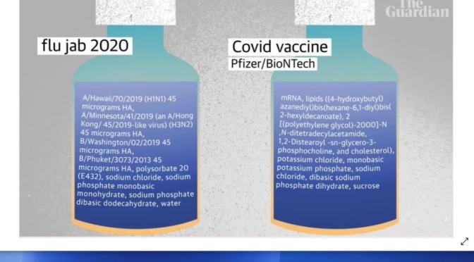 Covid-19: ‘What Are The Vaccine’s Ingredients?’