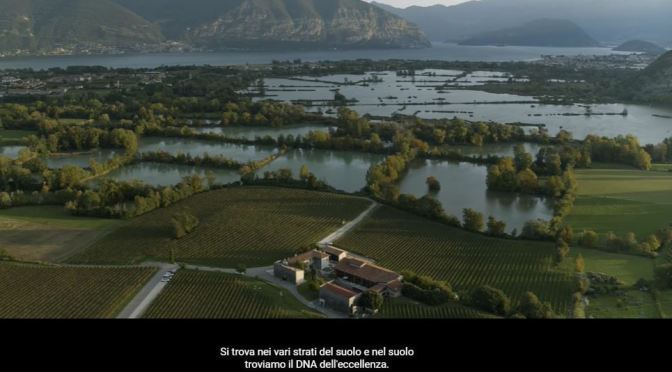 Vineyard Views: ‘Bersi Serlini Franciacorta’ In Northern Italy (Video)