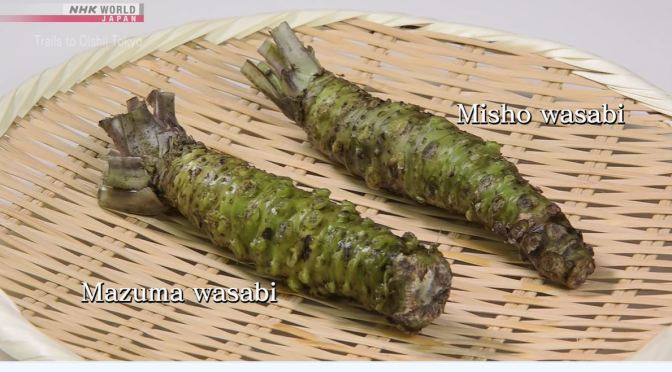 Food Insider: ‘Wasabi – Japanese Horseradish’
